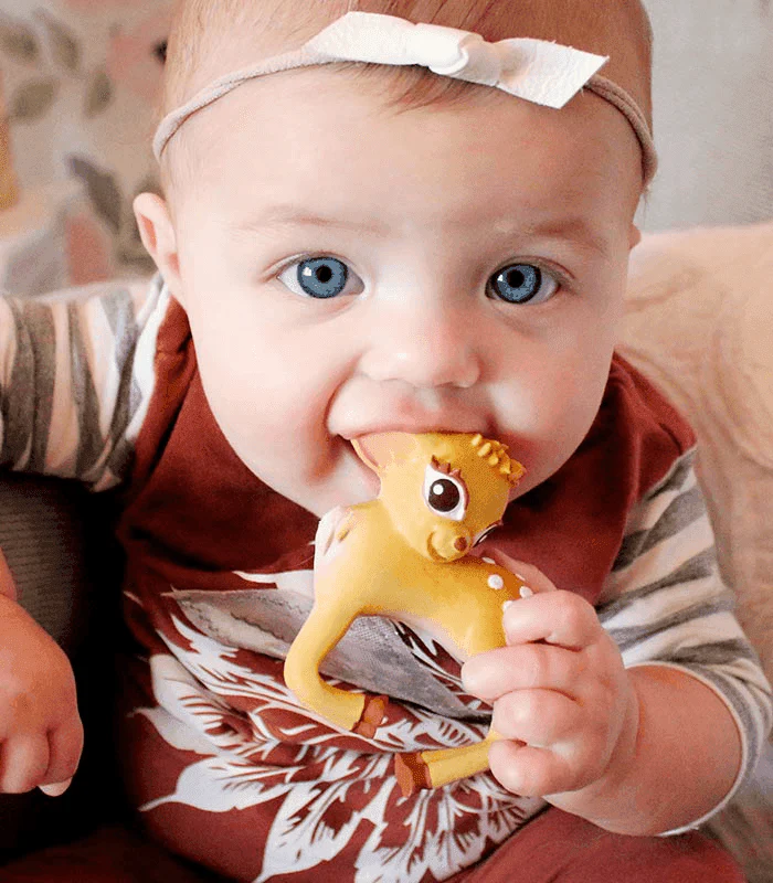 Olive la Biche – Image 6