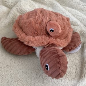 SAUVENOU TORTUE MAMAN & BEBE