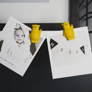 Set de 4 Magnets Ours Lou